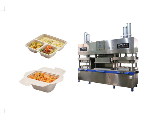 PLC Pulp Molding Clamshell Lunch Box Machine Stampo personalizzabile Dimensioni 1600*800mm