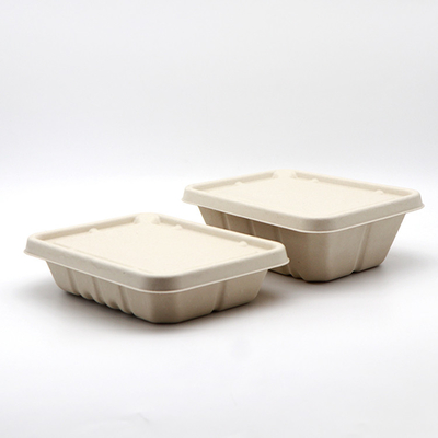 Spappoli la modellatura dei semi non di plastica della macchina della scatola di pranzo della copertura superiore automatici