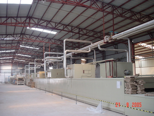 Linea completamente automatica di Tray Machine Egg Packaging Drying dell'uovo