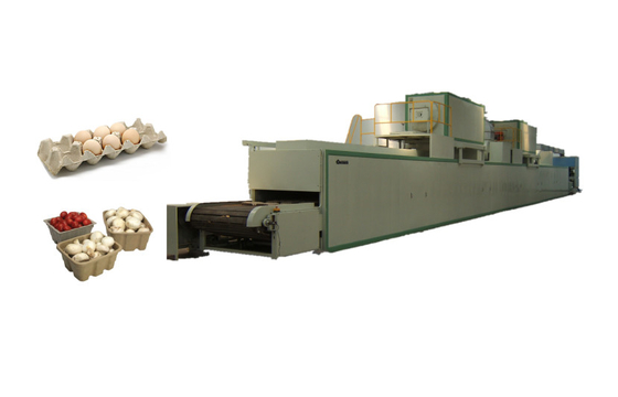Linea completamente automatica di Tray Machine Egg Packaging Drying dell'uovo