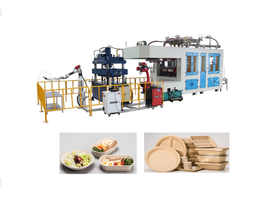 Biodegradabile Macchine per lo stampaggio della pasta di carta Contenitore alimentare usa e getta 1 anno di garanzia