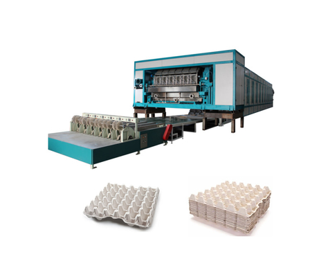 5000-7000pcs/H Macchina di produzione di vassoi per uova con linea di asciugatura multi
