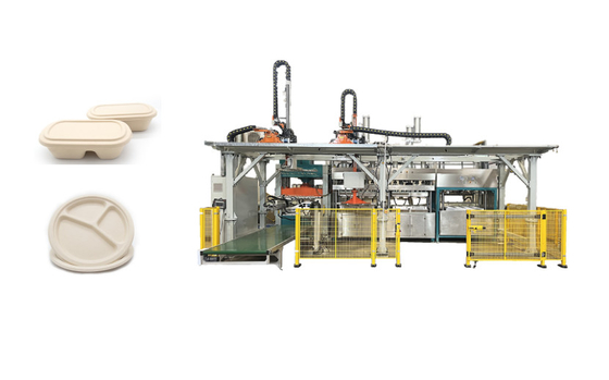 Pranzo biodegradabile Tray Pulp Molded Production Machine