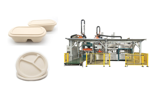 Alimento completamente automatico della pasta di cellulosa che serve Tray Production Line