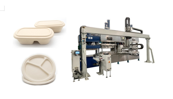 Alimenti a rapida preparazione eliminabili sostenibili Tray Machine della canna da zucchero della polpa automatica della bagassa