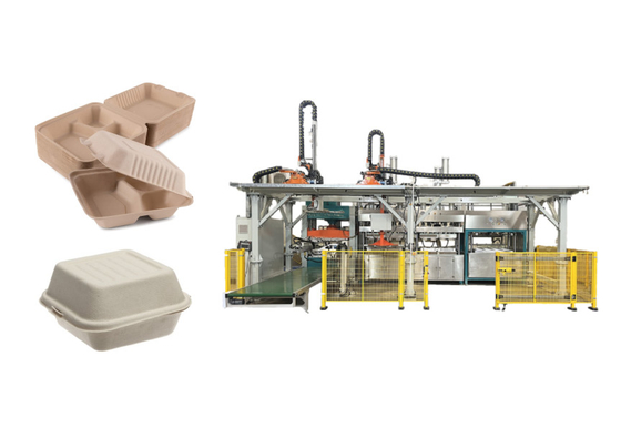 Contenitore dell'hamburger della pasta di cellulosa che fa macchina con la guarnizione e l'impilamento del robot