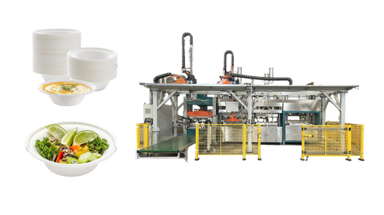 ISO9001 Macchine per lo stampaggio della pasta di carta per imballaggi ecologici