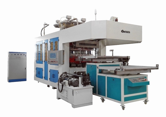 Produzione di macchine di stampaggio di pasta completamente automatiche ad alte prestazioni per stoviglie monouso