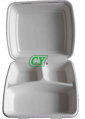 Macchina concimabile manuale di modellatura della stampa di Tray Dry In Mold Wet della canna da zucchero del macchinario della cartapesta dello SpA