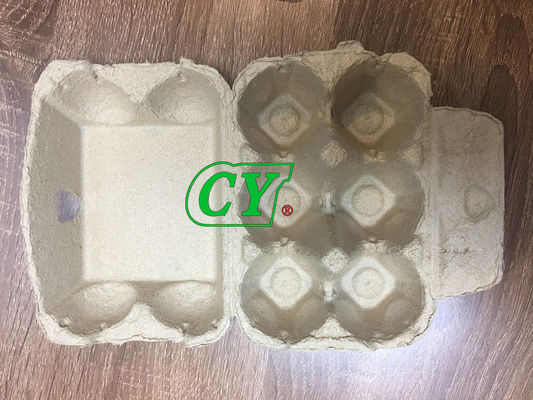 Protezione dell'ambiente della macchina di pressatura a caldo della cartapesta del cartone dell'uovo 20 tonnellate