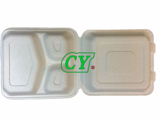 Pasta di cellulosa biodegradabile della polpa del vergine della macchina della scatola di pranzo della copertura superiore della bagassa della canna da zucchero