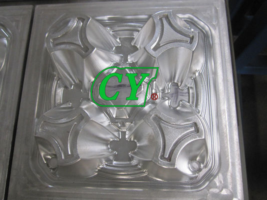 La muffa di plastica Diogradable della cartapesta ricicla il caffè Tray Mould