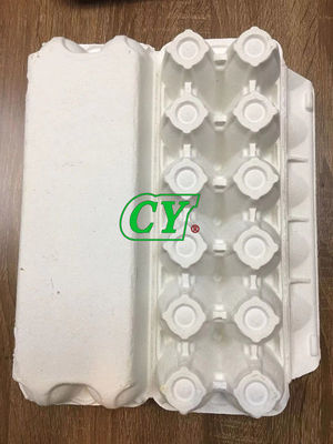 Uovo modellato biodegradabile Tray Recycle Egg Box della polpa dei prodotti della cartapesta