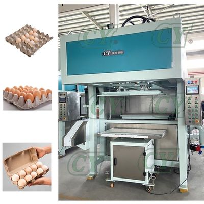 Linea di produzione modellata polpa automatica della macchina del cartone dell'uovo della macchina del vassoio dell'uovo