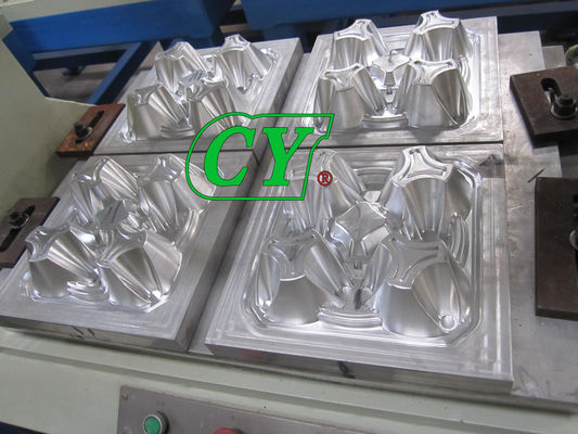 Muffa riciclabile del cartone dell'uovo dell'OEM per l'uovo Tray Machine della cartapesta
